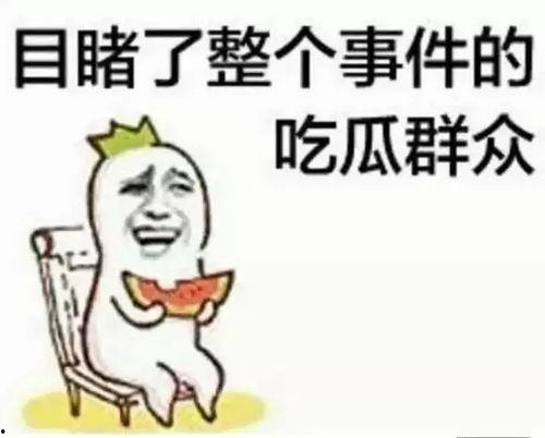 大陆人吃瓜群众是谁啊视频,网络热词背后的文化现象