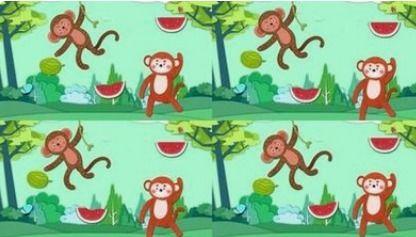 一枚吃瓜宝宝的故事视频,揭秘宝宝世界里的欢乐时光