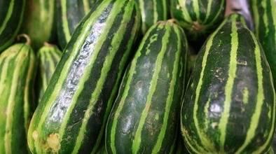 梢瓜怎么吃视频,视频教你轻松烹饪