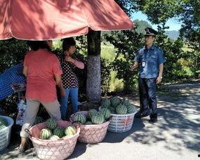 吃瓜群众坐板凳的视频,一场别开生面的网络直播秀