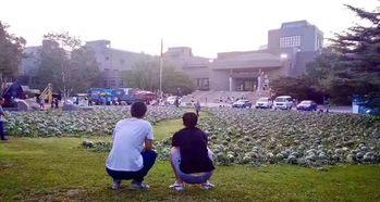 苏州农校吃瓜事件视频,校园风波背后的真相揭晓