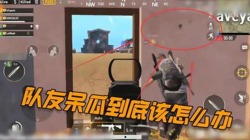 吃鸡呆瓜教学视频,新手入门必备攻略解析