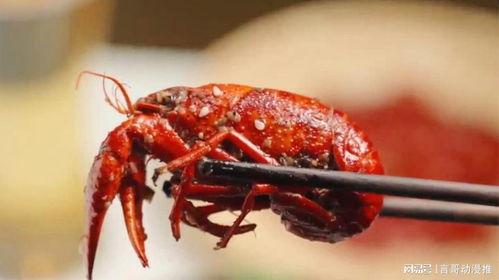 吃瓜和小龙虾视频大全,视频大全带你领略美食与娱乐的双重魅力
