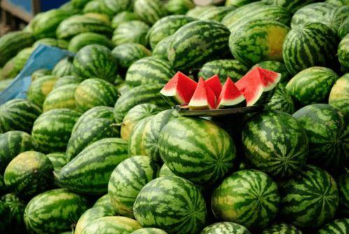 善堂网红吃瓜视频下载安装,善堂热门内容一网打尽