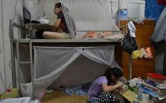 吃瓜大学生宿舍视频,大学生宿舍生活趣味瞬间大揭秘