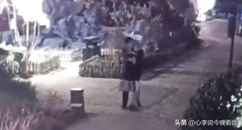 兰州老街吃瓜视频全集,一场视觉与味蕾的双重盛宴