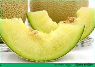 大人小孩吃哈密瓜视频