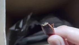 崽崽吃瓜视频在线播放网站,揭秘热门视频网站在线播放的幕后故事