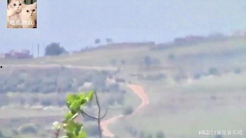 吃瓜场景怎么拍视频的,捕捉夏日吃瓜欢乐时光