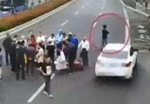 围观吃瓜车祸视频大全,揭秘事故现场惊魂一幕