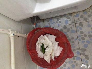 厕所吃瓜视频,揭秘网络热传视频背后的故事