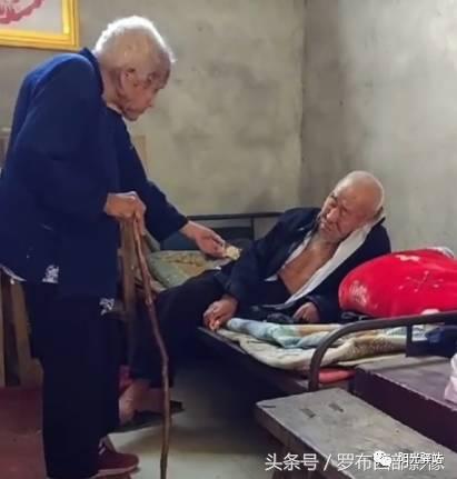 老爷爷吃毒蛇瓜视频大全,视频大全揭秘神秘食文化