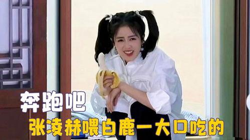 白鹿吃瓜笑死人视频大全