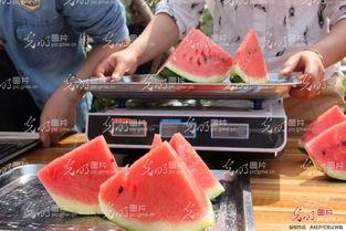 山东吃瓜比赛视频,一场视觉与味觉的双重盛宴