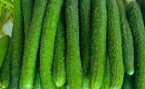 脆瓜儿怎么炒菜吃视频讲解,家常美味制作指南