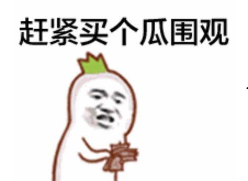 吃瓜群众要发言吗视频讲解,揭秘“吃瓜群众要发言吗”视频背后的热点现象