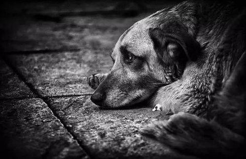 吃瓜被人打一棍视频,网络暴力事件引发社会关注