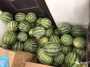 花店最新吃瓜视频大全集,最新视频大全集精彩瞬间