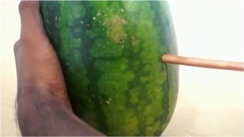 大量吃瓜技术视频,揭秘海量吃瓜技术视频精华