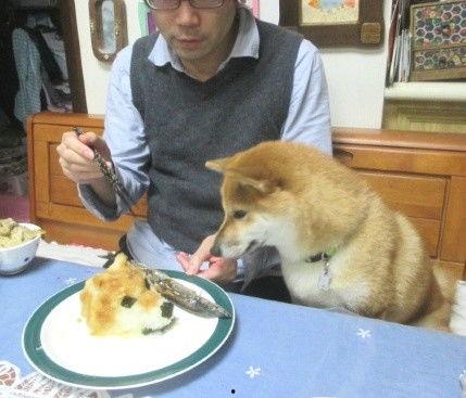 狗头吃瓜抠鼻子视频大全,狗头吃瓜抠鼻子，欢乐视频大盘点