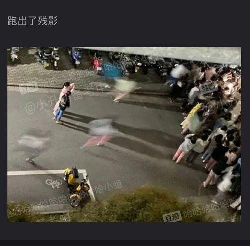 冲哥吃瓜视频在线观看,揭秘娱乐圈幕后故事，带你领略明星真实生活