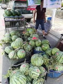 唐县吃瓜事件视频最新,一场网络热议背后的真相揭秘