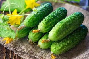 看瓜都怎么吃最好视频,视频教你如何吃瓜最爽