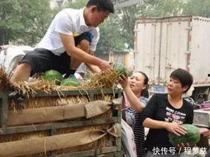 长垣市吃瓜事件视频,一场引发热议的网络视频风波