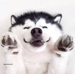 无语吃瓜群众视频大全集,无语吃瓜群众视频大全集，笑料百出，揭秘网络热点背后的故事