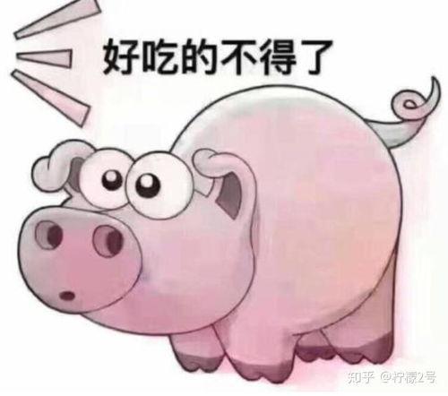 牛吃老憨瓜的视频大全,趣味视频大全集锦